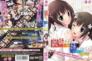 【DVD-PG】義妹だからできること、妹じゃないとダメなこと…